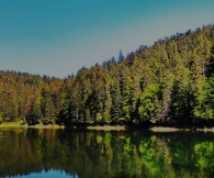 "Лісова пісня" - відпочинок, що відновлює сили.